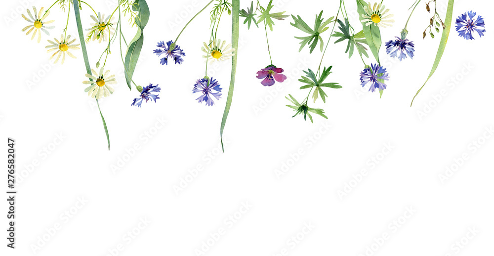 Background of flowers of wild geraniums, cornflowers and chamomile