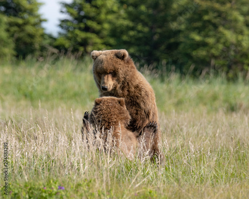 Grizzlies playing