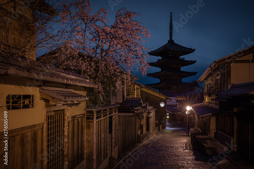 京都府 八坂の塔 桜 夜景