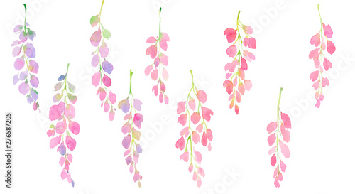 pink and purple wisteria set, branches and flowers, watercolor illustration
