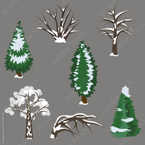 Set of winter trees in snow. isolated elements to design landscape scene