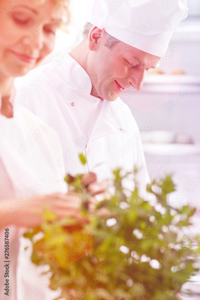 Mature chefs cooking in kitchen at restaurant Mature chefs cooking in kitchen at restaurant