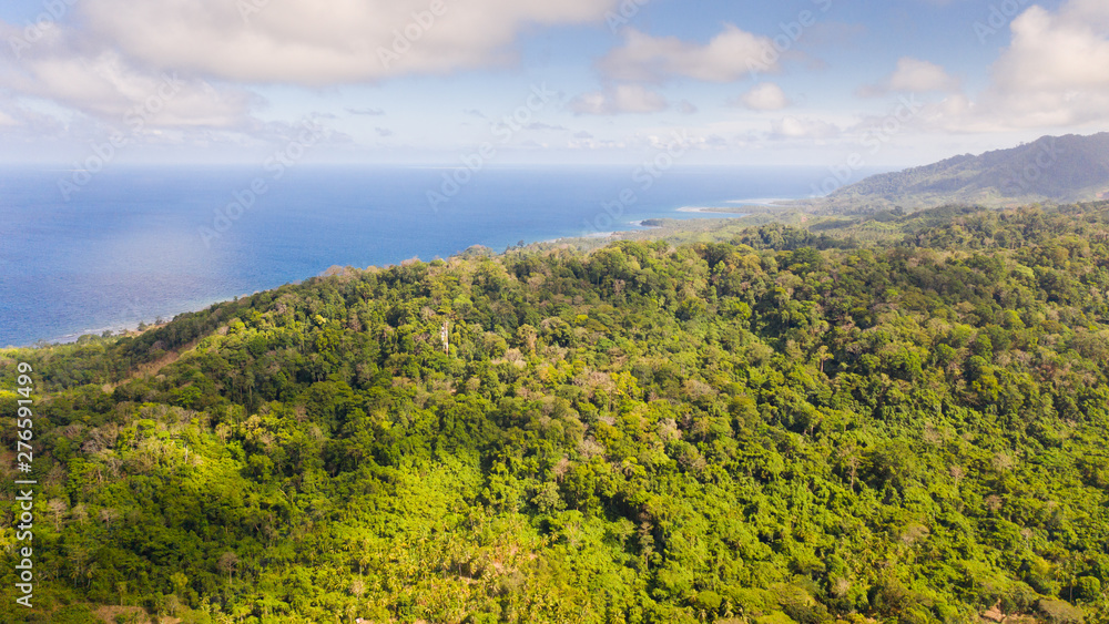 Obraz premium Rainforest on a large island, view from above. Forest massif on the hills of a tropical island. Nature of the Philippine Islands.