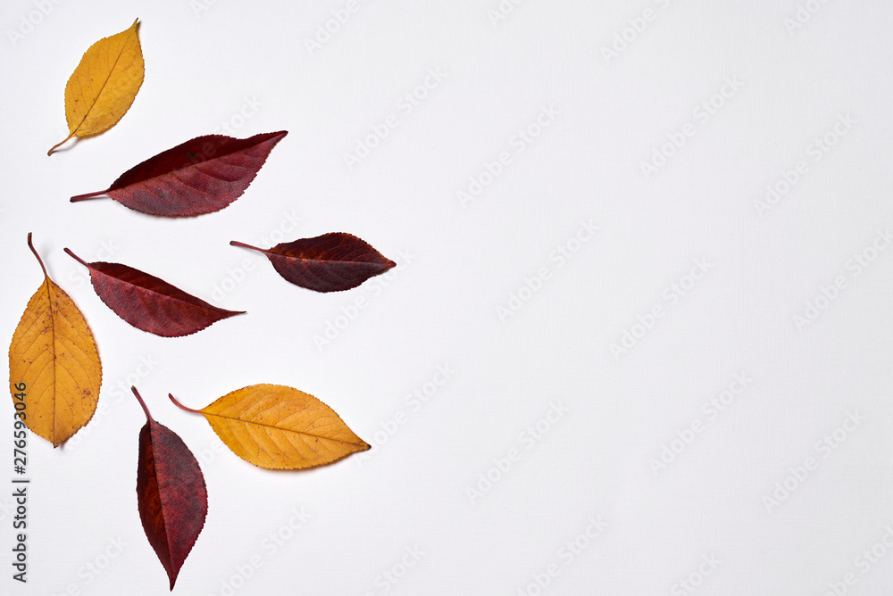 Autumn composition. Frame made of yellow and red leaves on white background. Fall concept. Autumn thanksgiving texture. Flat lay, top view, copy space Autumn composition. Frame made of yellow and red leaves on white background. Fall concept. Autumn thanksgiving texture. Flat lay, top view, copy space
