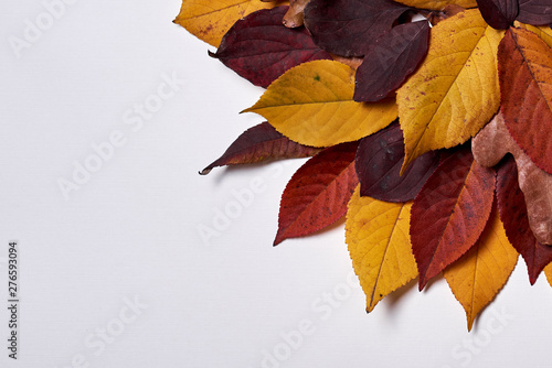 Autumn composition made of dried yellow and red leaves on white background. Fall concept. Autumn thanksgiving texture. Flat lay, top view, copy space