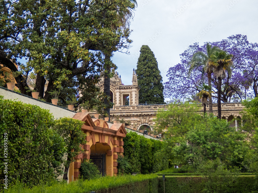 Garden of Alcazar, park , Royal Palace, Seville, Andalusia, Spain, Europe