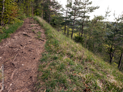 Wanderung auf dem Fernwanderweg Albsteig HW 1 auf der Schwäbischen Alb in Deutschland photo