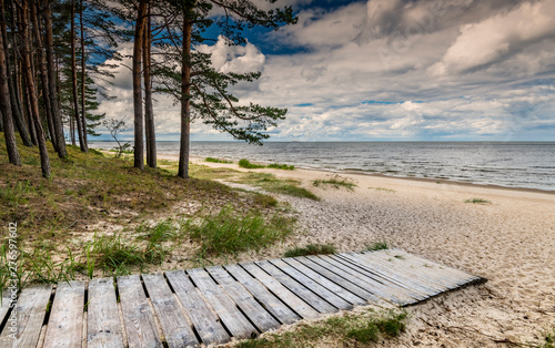 Fototapeta Naklejka Na Ścianę i Meble -  Pine forest, wooden footpath and a shore of the Baltic Sea, concept of clean and ecologically friendly tourism in Europe