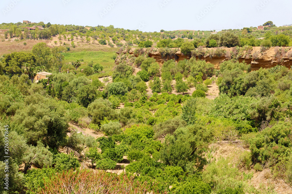 Vegetation in Valley of the Temples, Agrigento, Sicily