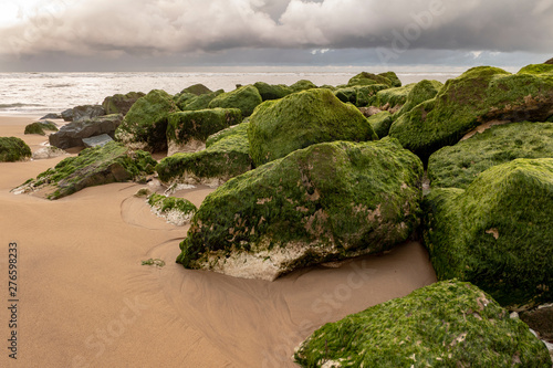 green algae on the sandy beach with the Atlantic Ocean in the background