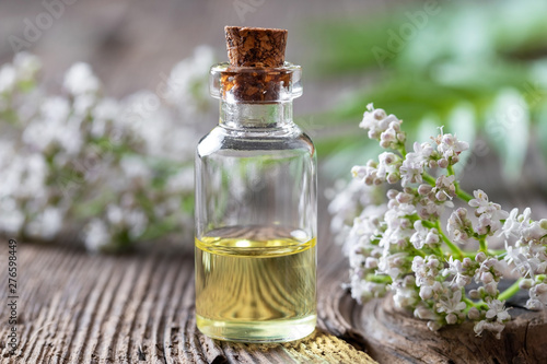 A bottle of valerian essential oil and fresh plant