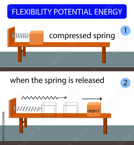 flexibility potential energy. kinetic energy. potential and kinetic energy. energy conversion. science
