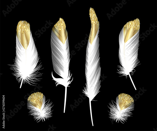 Set of gold  feather. Vector illustration.