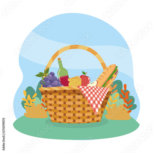 hamper with grapes and wine bottle with sandwinch