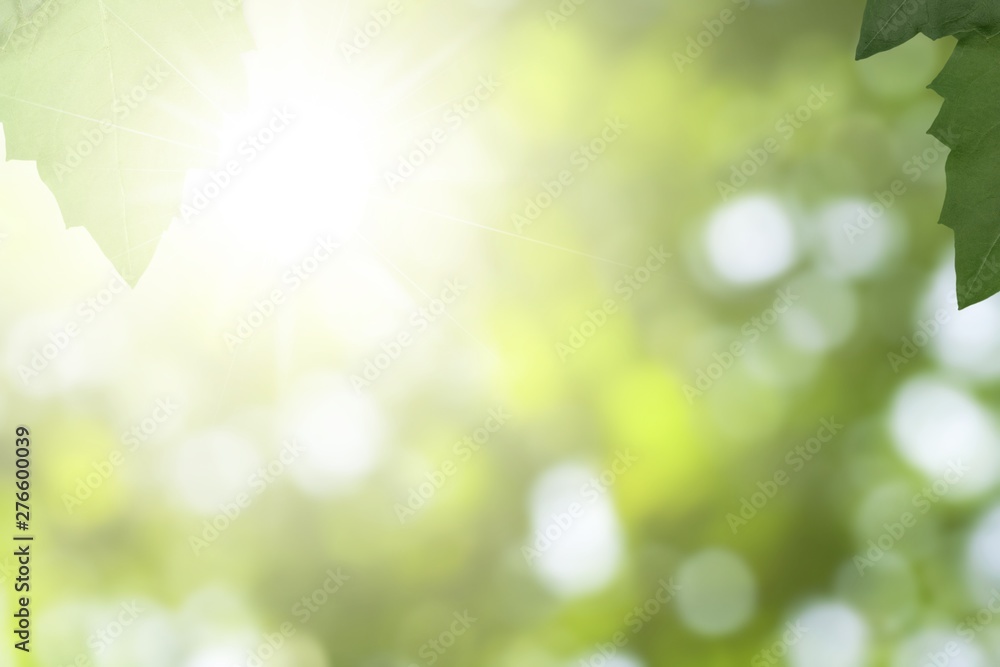 Obraz premium Background.