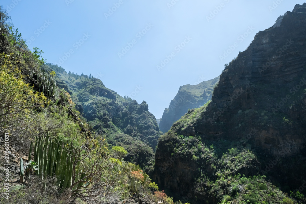 Tenerife landscape, Canary Islands, Spain