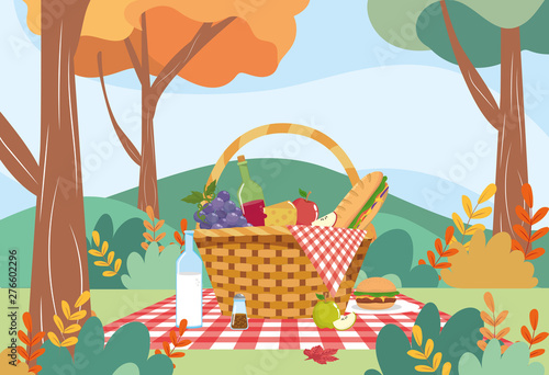 hamper with grapes and wine bottle with cheese