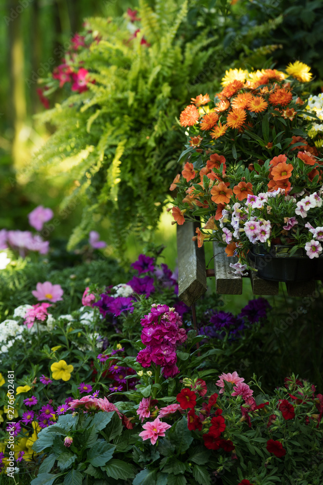 Many colorful summer flowers on a garden bench