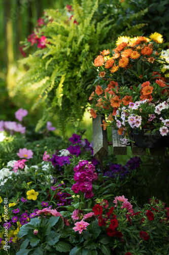 Wallpaper Mural Many colorful summer flowers on a garden bench Torontodigital.ca