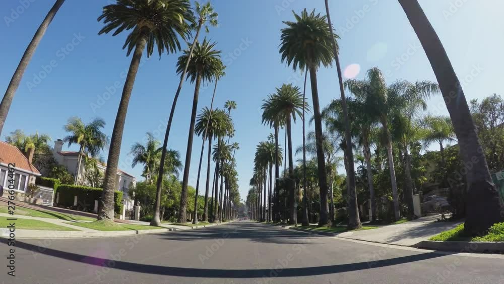 Driving In Beverly Hills California Under Iconic Palm Trees Driving In Beverly Hills California Under Iconic Palm Trees