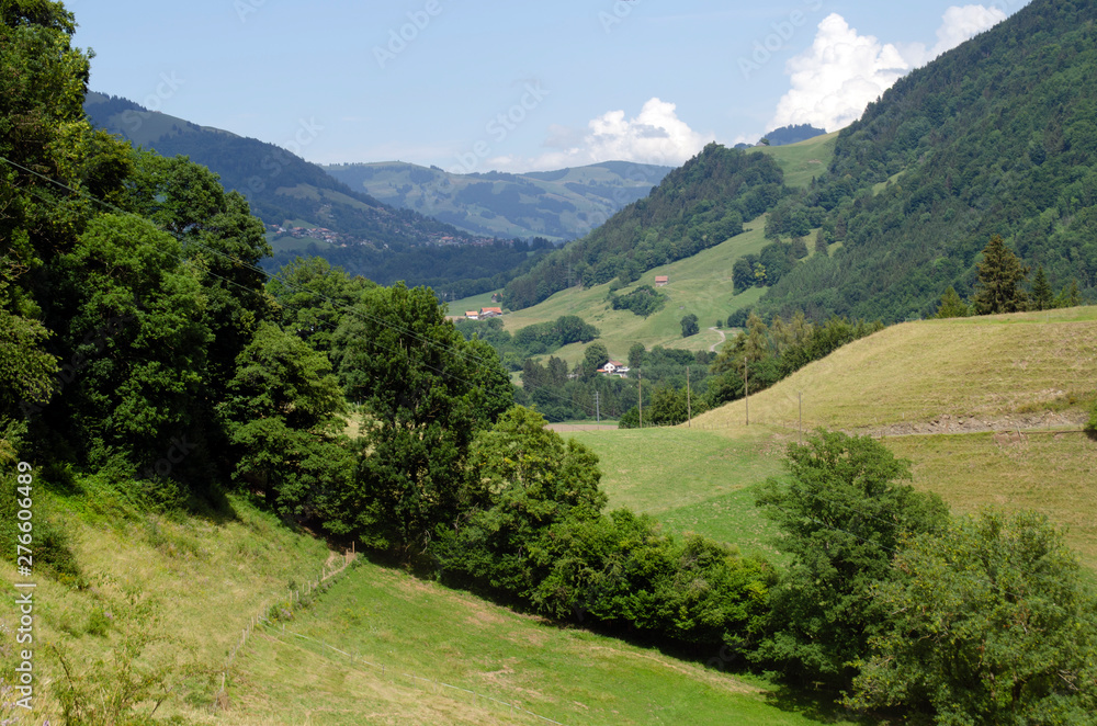 Naklejka premium Alpine small village in Switzerland. Mountain countryside. Summer background.