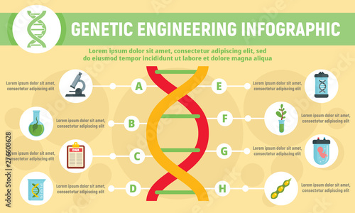 Genetic engineering infographic. Flat illustration of genetic engineering vector infographic for web design