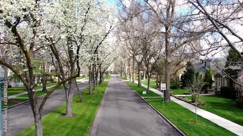 Harrison Boulevard - Boise, Idaho
