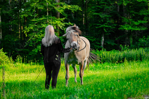 junge Frau steht mit süßem Norwegisches Fjordpferd in der saftig grünen Natur im Frühling