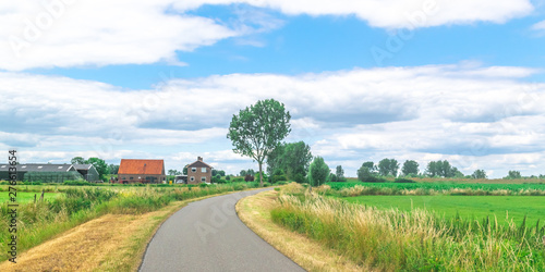 Canvas Print Dutch polder landscape in summer