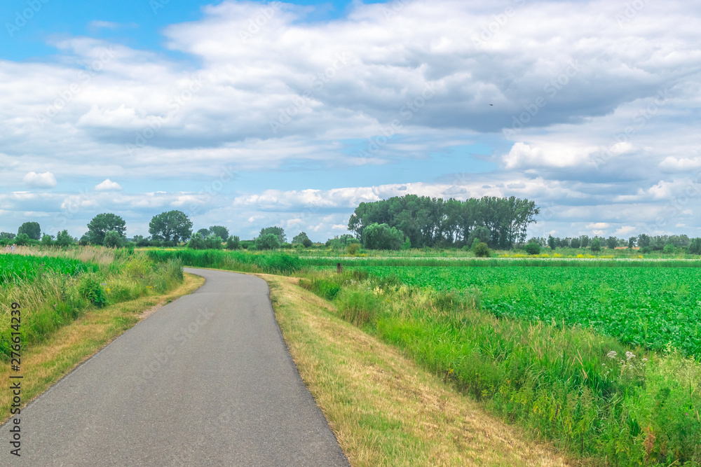 Dutch meadow panoramic landscape