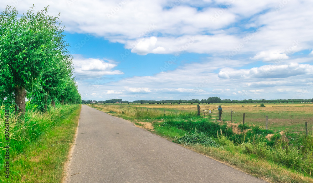 Dutch meadow panoramic landscape