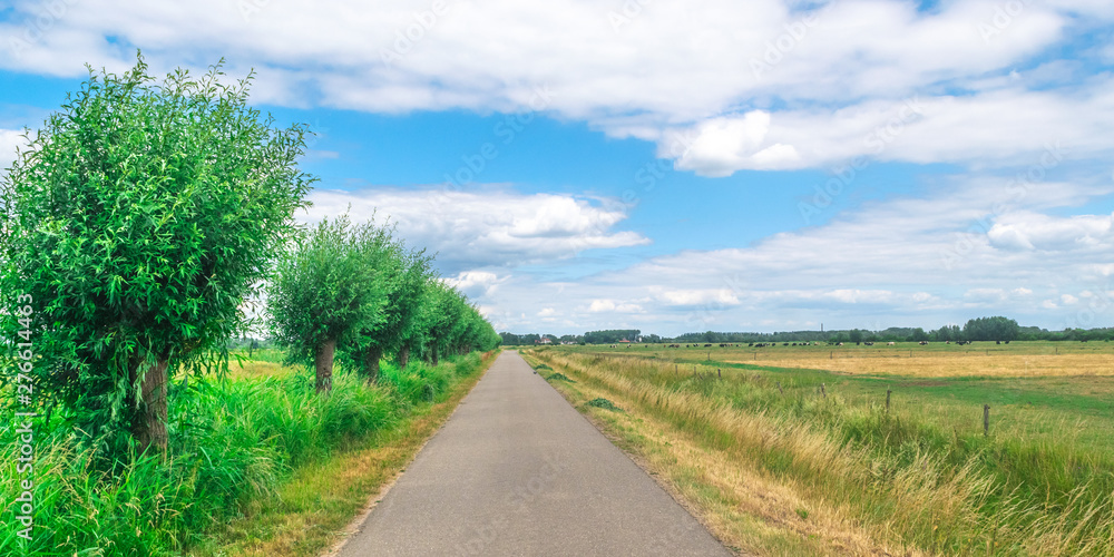 Dutch meadow panoramic landscape