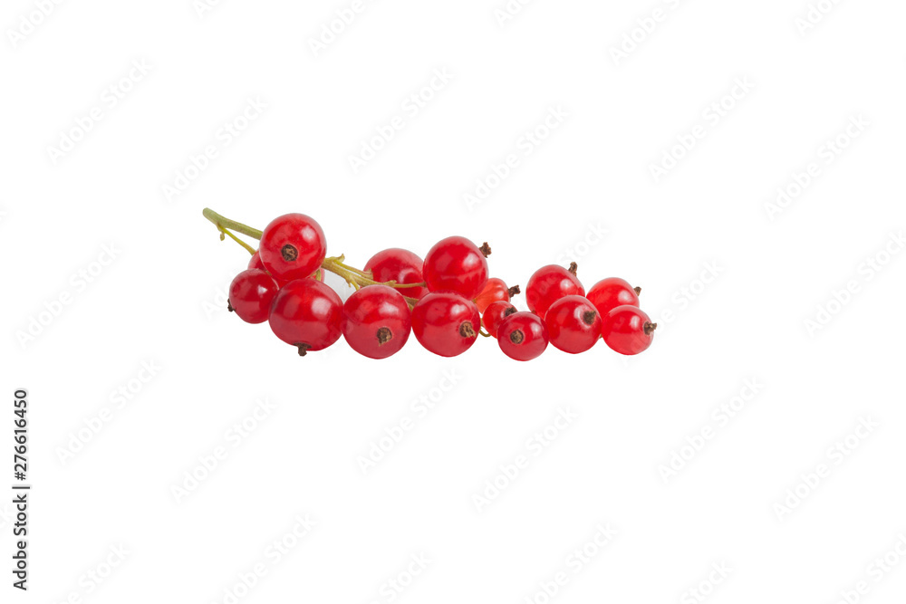Bunch of ripe red currants on white isolated background Bunch of ripe red currants on white isolated background