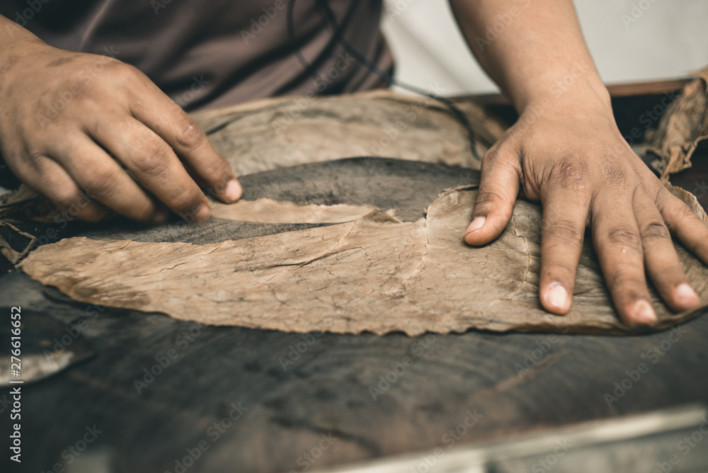 Closeup of hands making cigar from tobacco leaves. Traditional manufacture of cigars. Dominican Republic Closeup of hands making cigar from tobacco leaves. Traditional manufacture of cigars. Dominican Republic