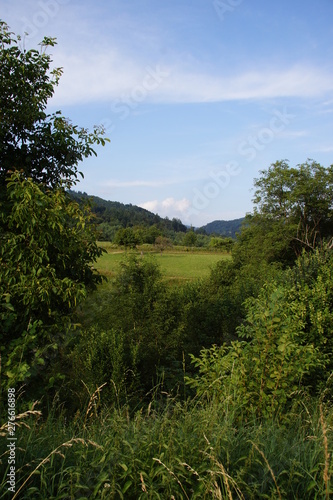 H  gellandschaft mit Obstgarten im Schwarzwald