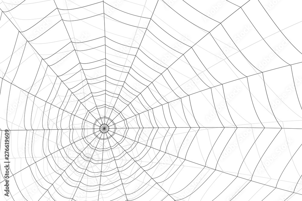 concentric white web on a white background concentric white web on a white background
