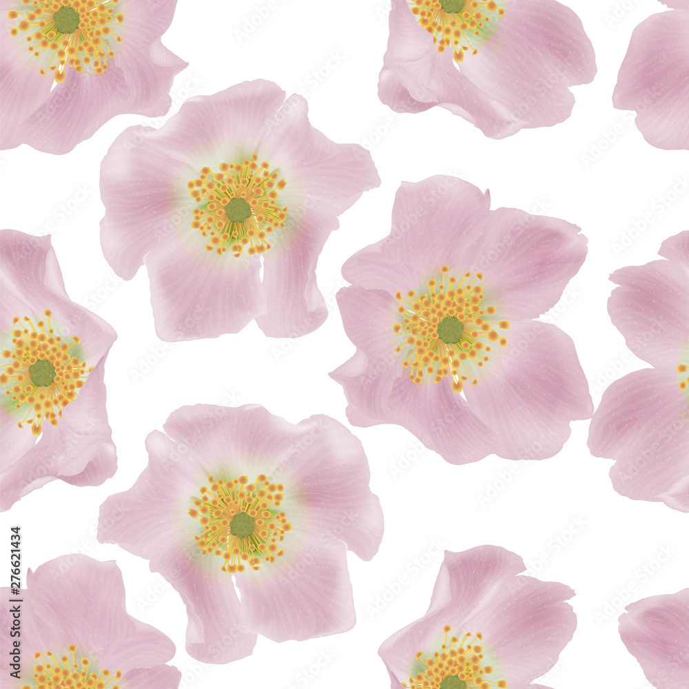 Beautiful seamless pattern with Rose. Vector illustration. 