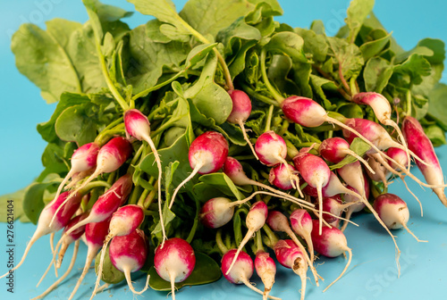 Red radish with green leaves turquoise background