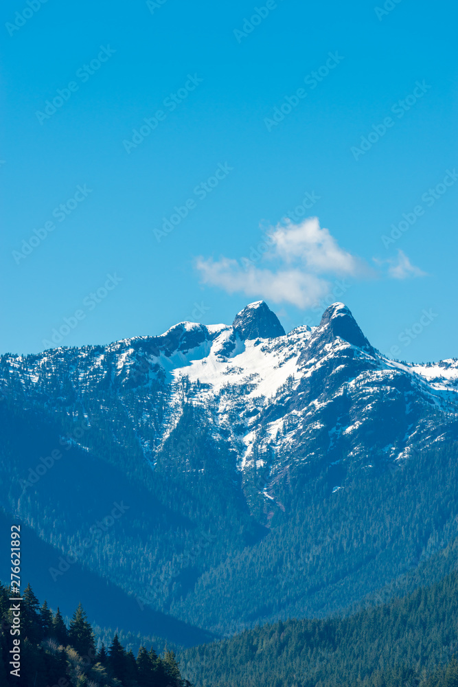 Fototapeta premium Aerial view at Mountains in Winter in British Columbia, Canada
