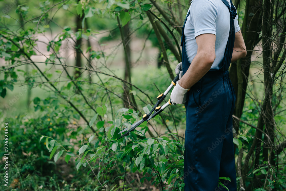 cropped view of gardener in overalls cutting bushes with trimmer in garden