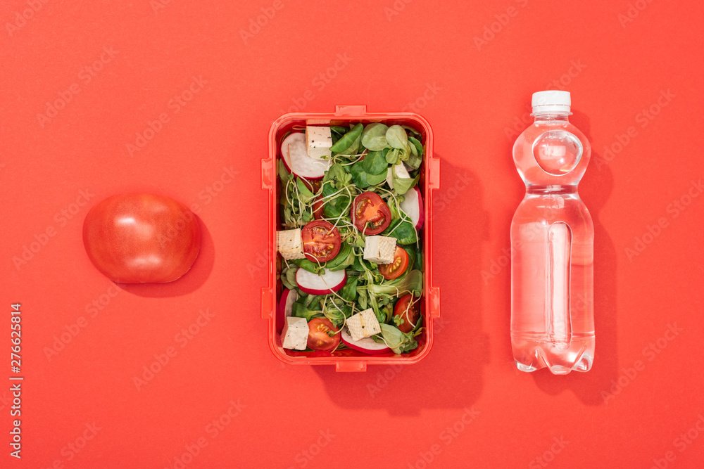 top view of apple, bottle with water and lunch box on red background top view of apple, bottle with water and lunch box on red background