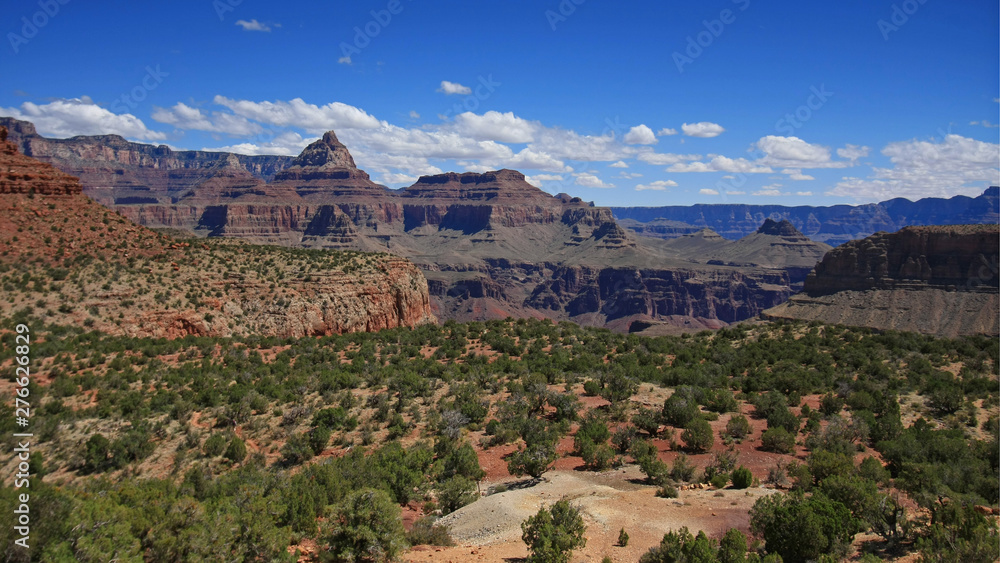 View of the Grand Canyon from the Grandview Trail in Grand Canyon National Park, Arizona.