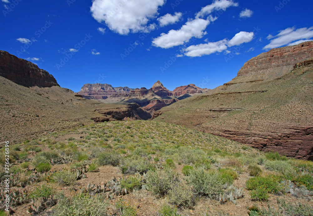 Obraz premium View of the Grand Canyon from the Grandview Trail in Grand Canyon National Park, Arizona.