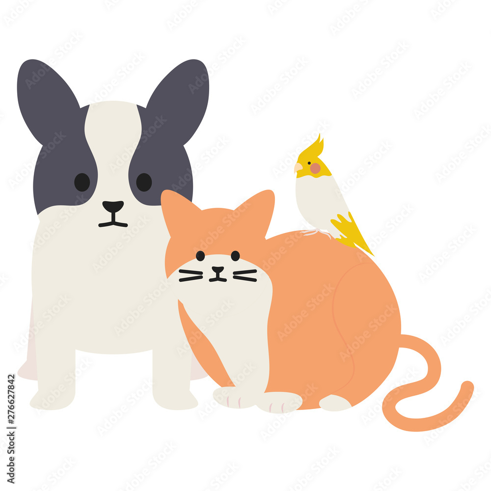 cute cat and dog with bird mascots adorables characters