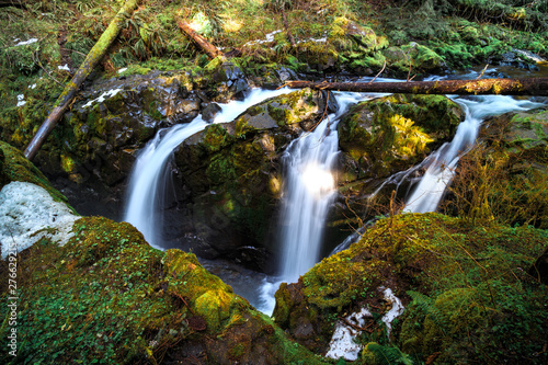 Sol Duc Falls  Olympic National Park