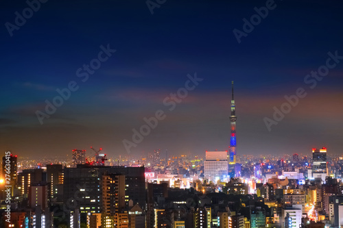 Scenic view of the city of tokyo, the capital city of Japan 