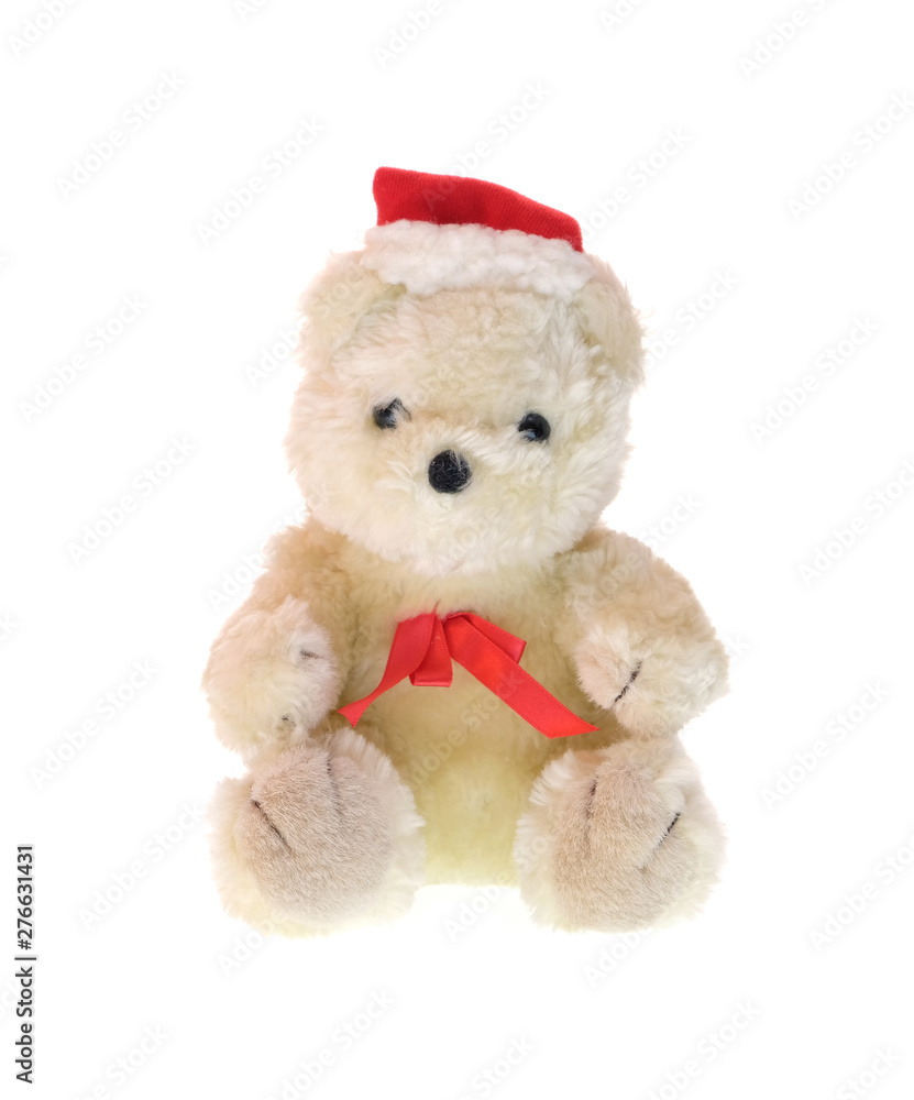 Teddy bear isolated on white background.