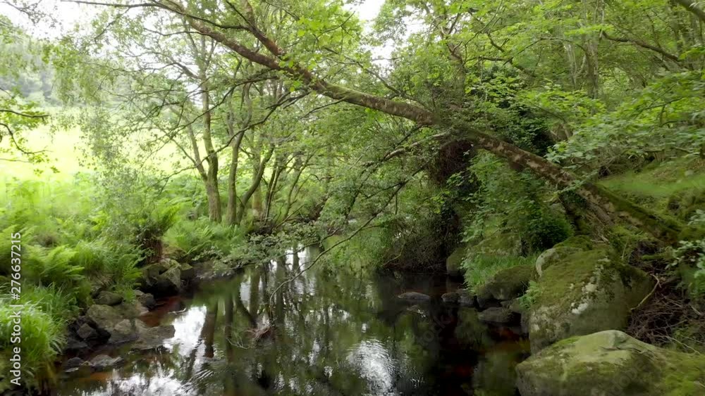 Shot over a dark small river with black water and dark green trees covering it. Wicklow Way, Ireland Shot over a dark small river with black water and dark green trees covering it. Wicklow Way, Ireland