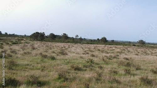 Beautiful and cinematic footage at vicentina coast, algarve, portugal