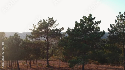 Beautiful and cinematic footage at vicentina coast, algarve, portugal